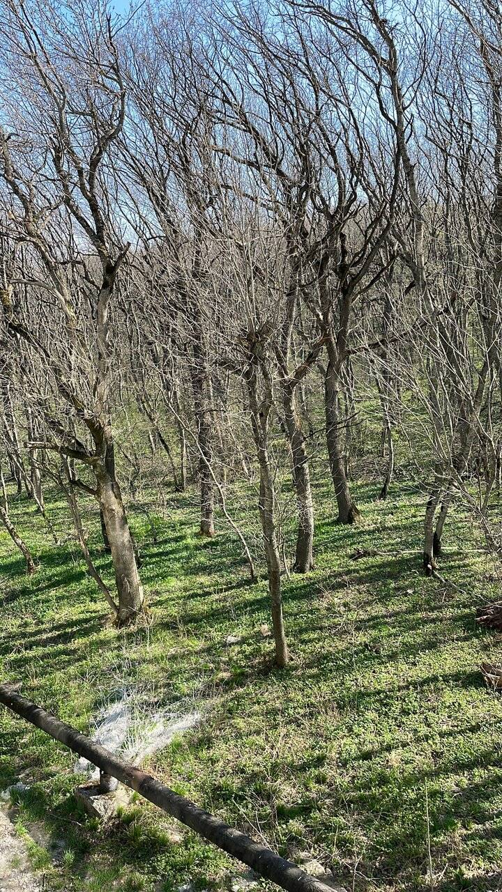 Фото Гостиницы Затерянный Рай у Машука Пятигорск 202