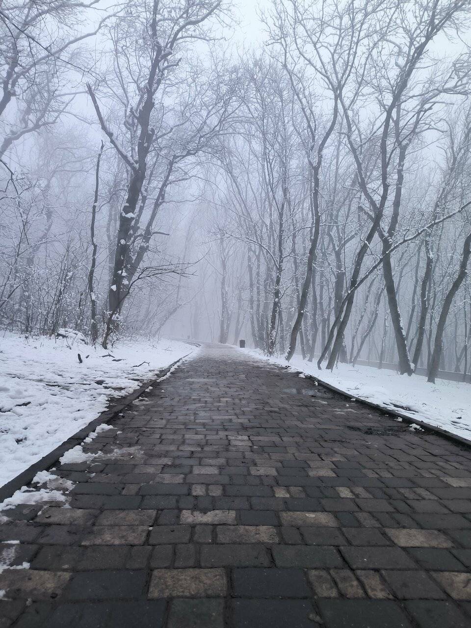 Фото Гостиницы Затерянный Рай у Машука Пятигорск 221