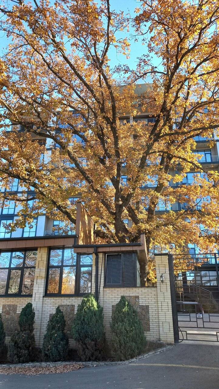 Фото Гостиницы Затерянный Рай у Машука Пятигорск 213