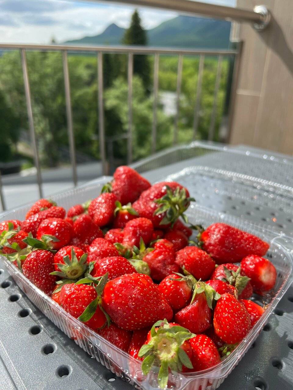 Фото Гостиницы Затерянный Рай у Машука Пятигорск 222