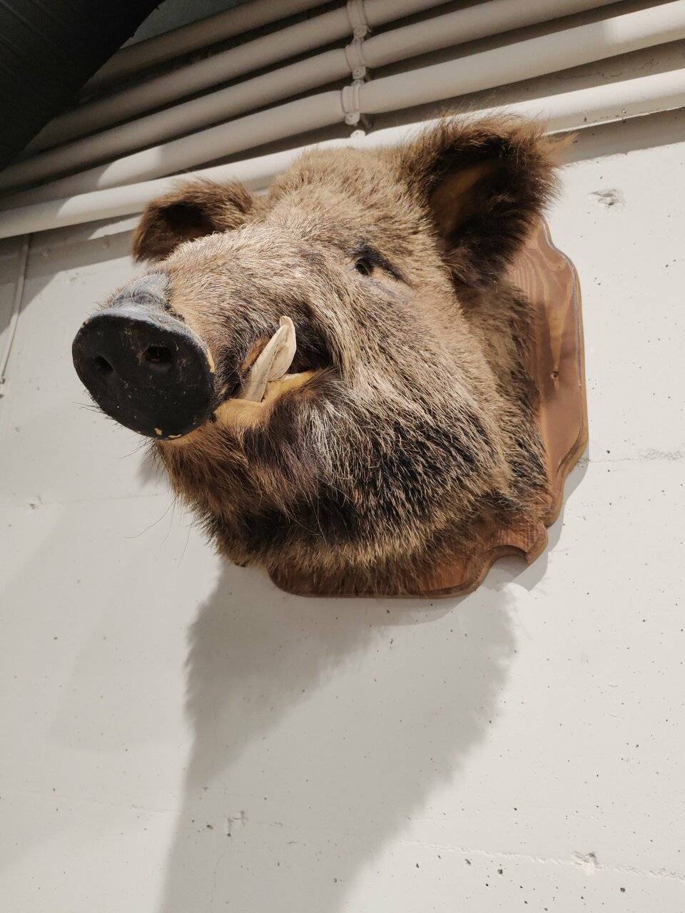 Фото Гостиницы Затерянный Рай у Машука Пятигорск 249